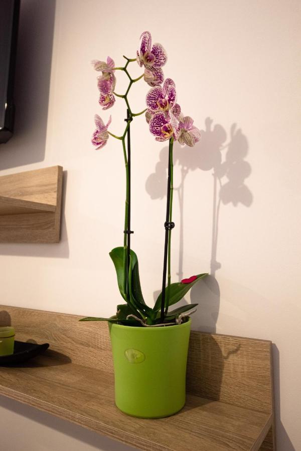 Apartament Opera Apart 2 Braszów Zewnętrze zdjęcie